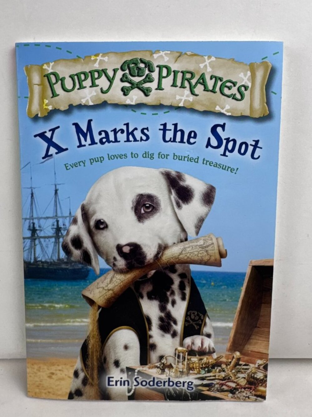 Puppy Pirates X Marks the Spot Book 1 Erin Soderberg Paperback Scholastic Kids